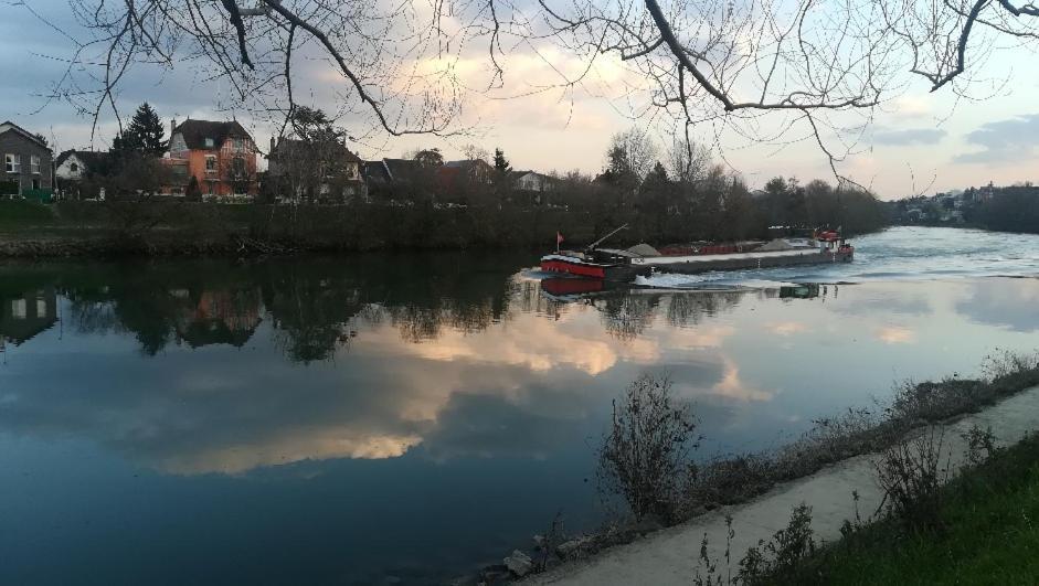 Les Pingouins De La Marne Bed & Breakfast Le Perreux-Sur-Marne Exterior foto